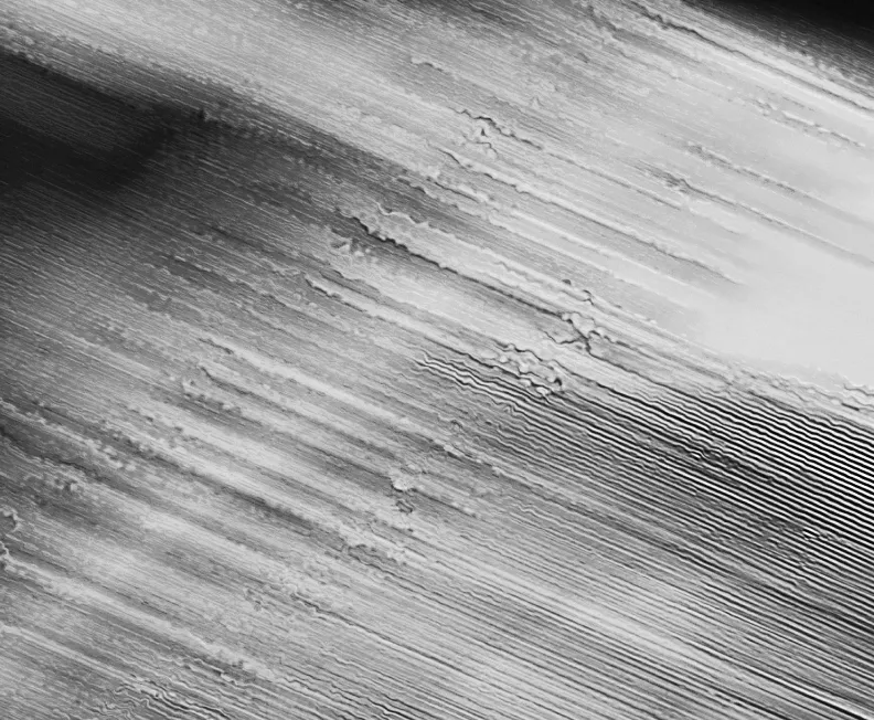 License Image