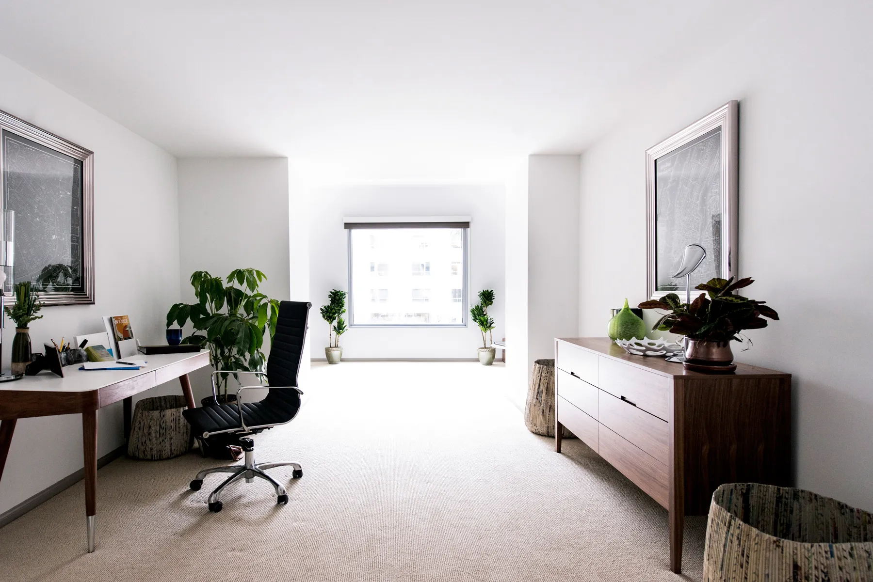 Spacious office room with assorted plant decorations.