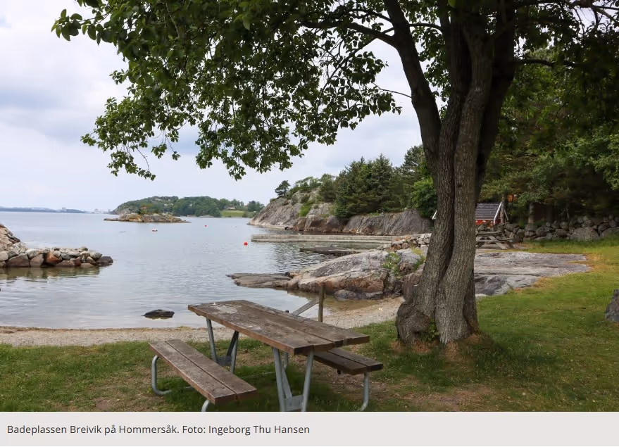 Svaberg, sandstrand, saltvann og HC-toalett. Blir lett en fin dag!
