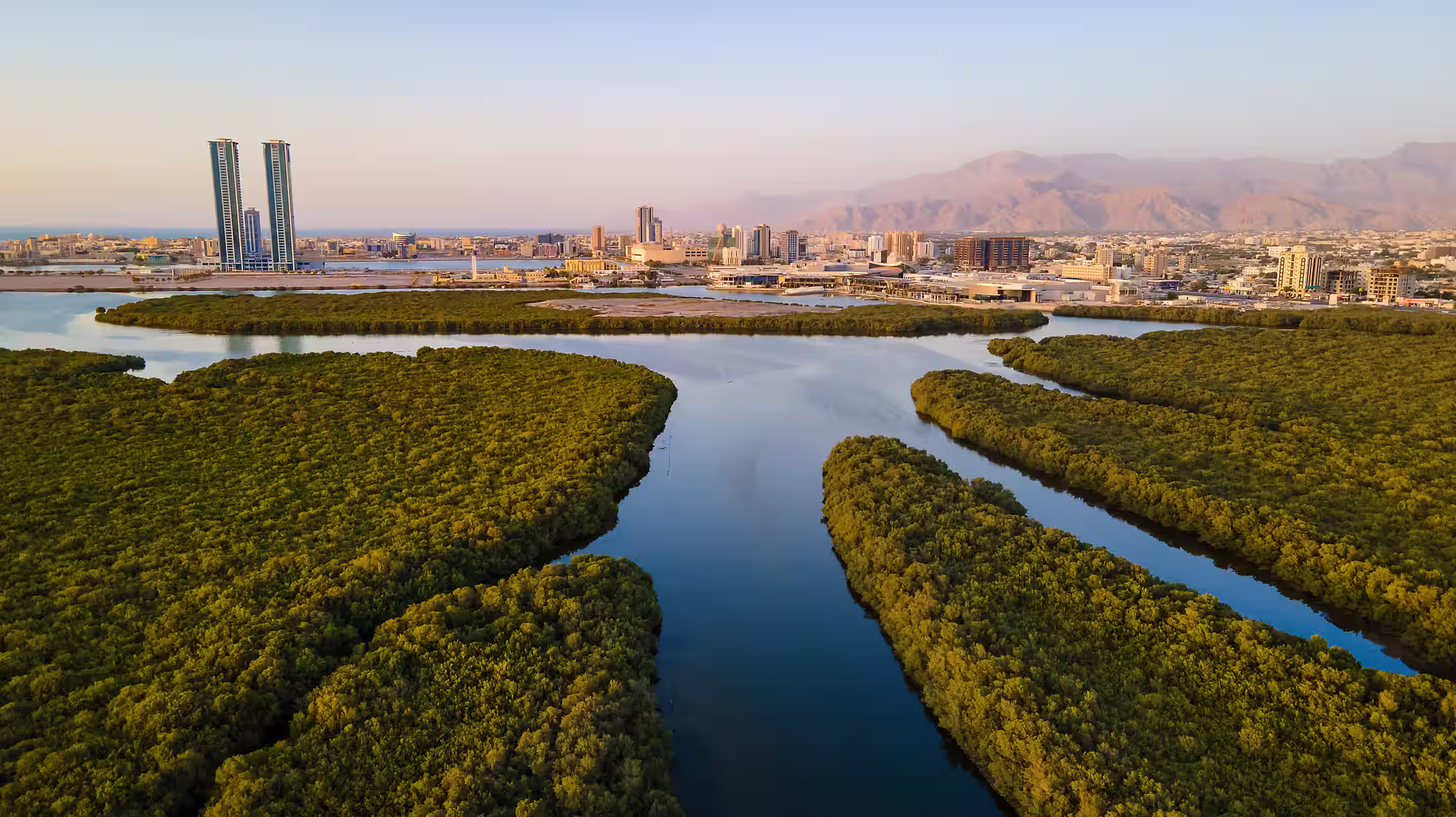 Aerial view of a river surrounded by dense green mangroves with a city skyline and mountains in the background during daylight.