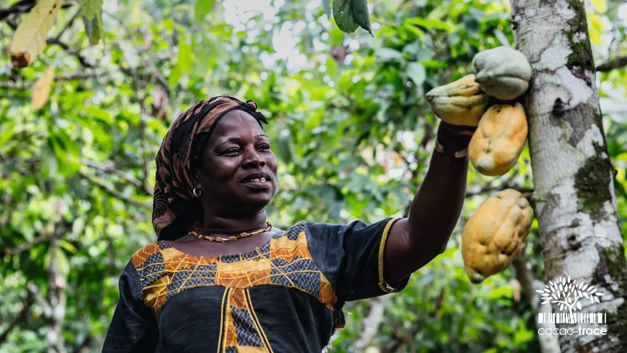 Image displaying someone facing a screen and reproducing what the screen shows