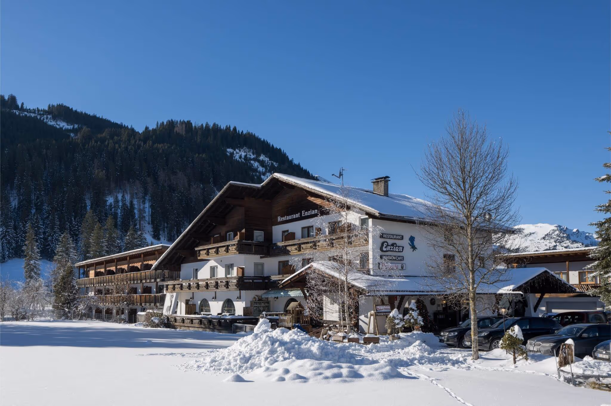 Gasthof Enzian in Tannheim, Austria