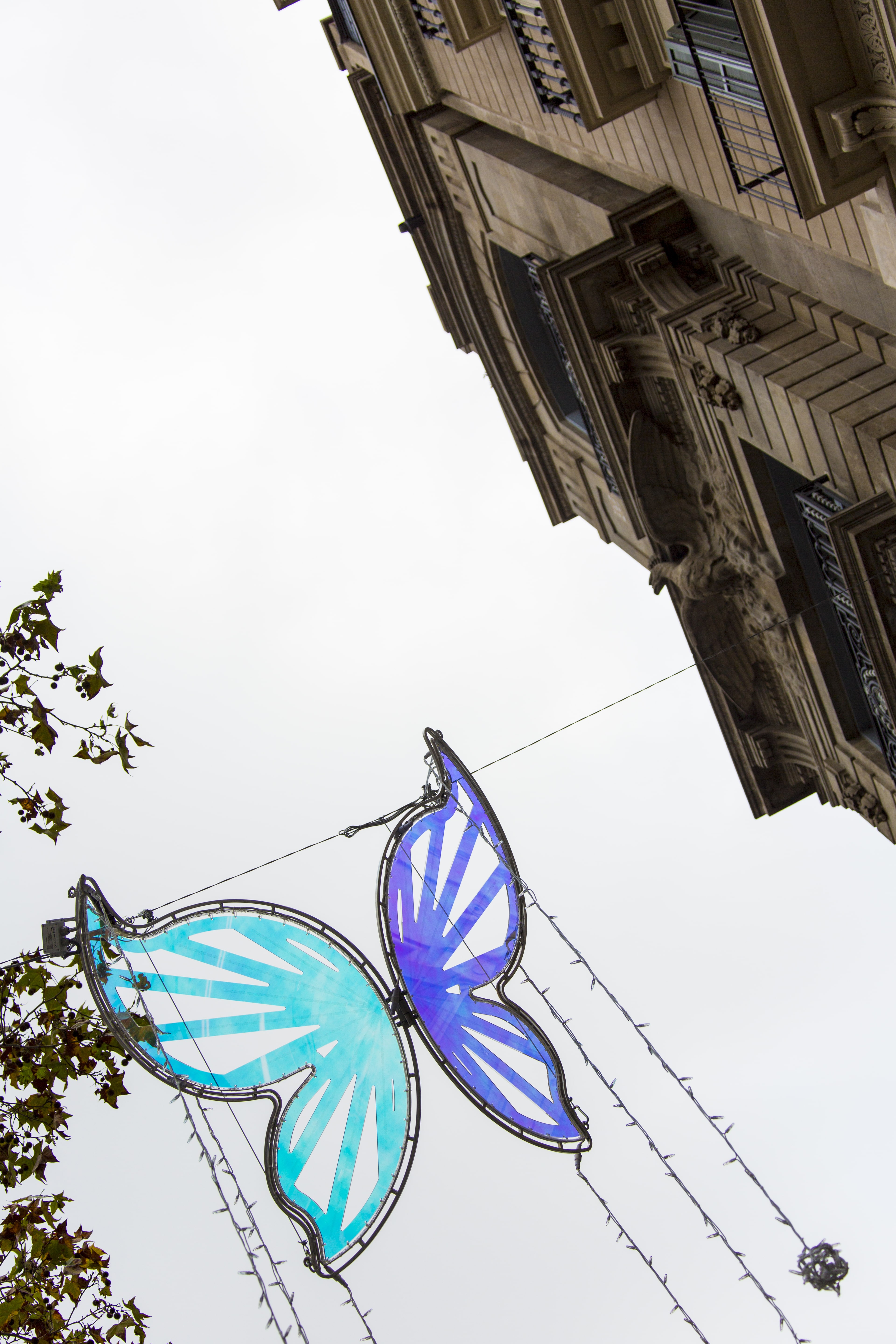 Policril - Arte - Mariposas-Passeig de Gràcia-Barcelona