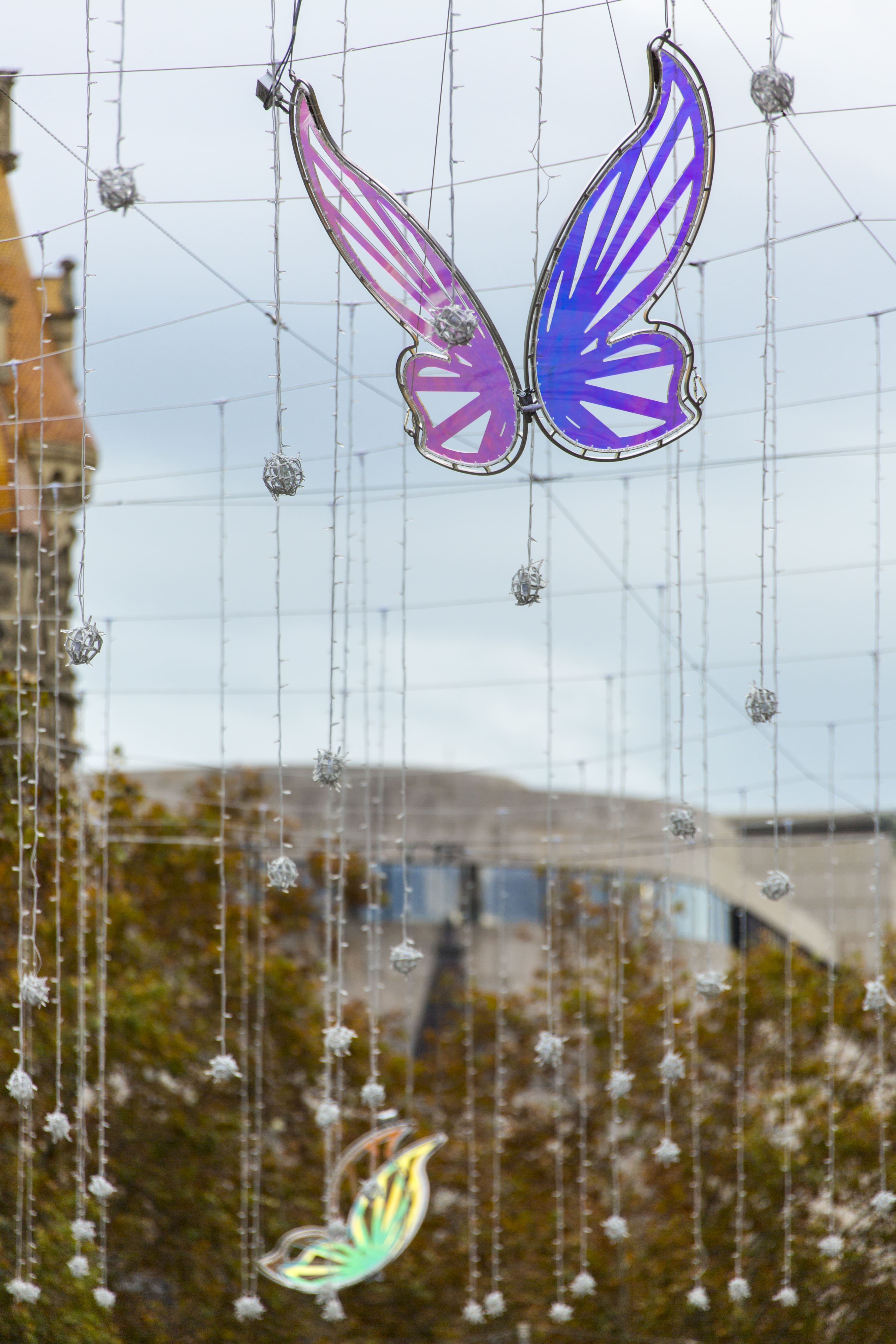Policril - Arte - Mariposas-Passeig de Gràcia-Barcelona