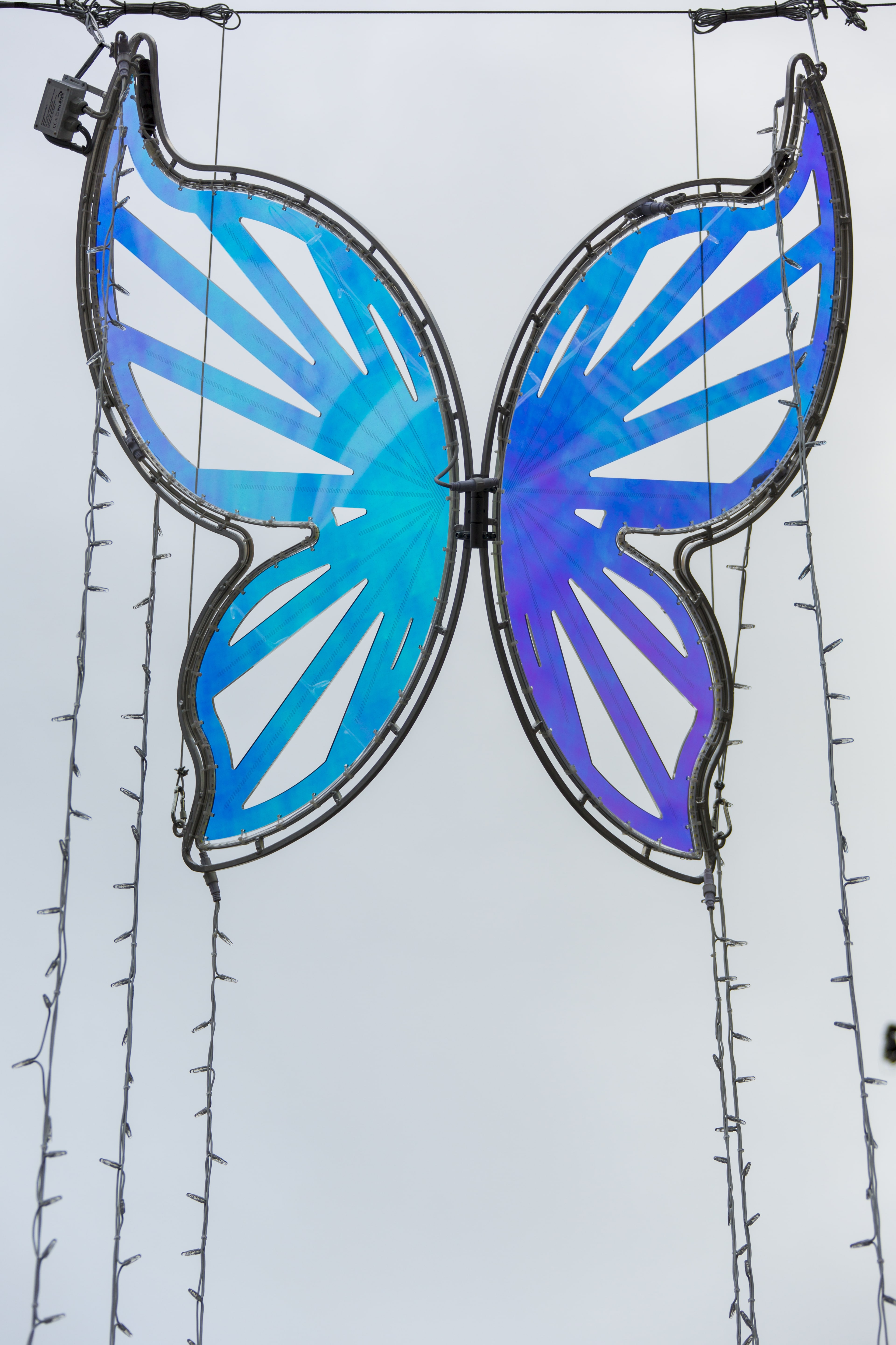 Policril - Arte - Mariposas-Passeig de Gràcia-Barcelona