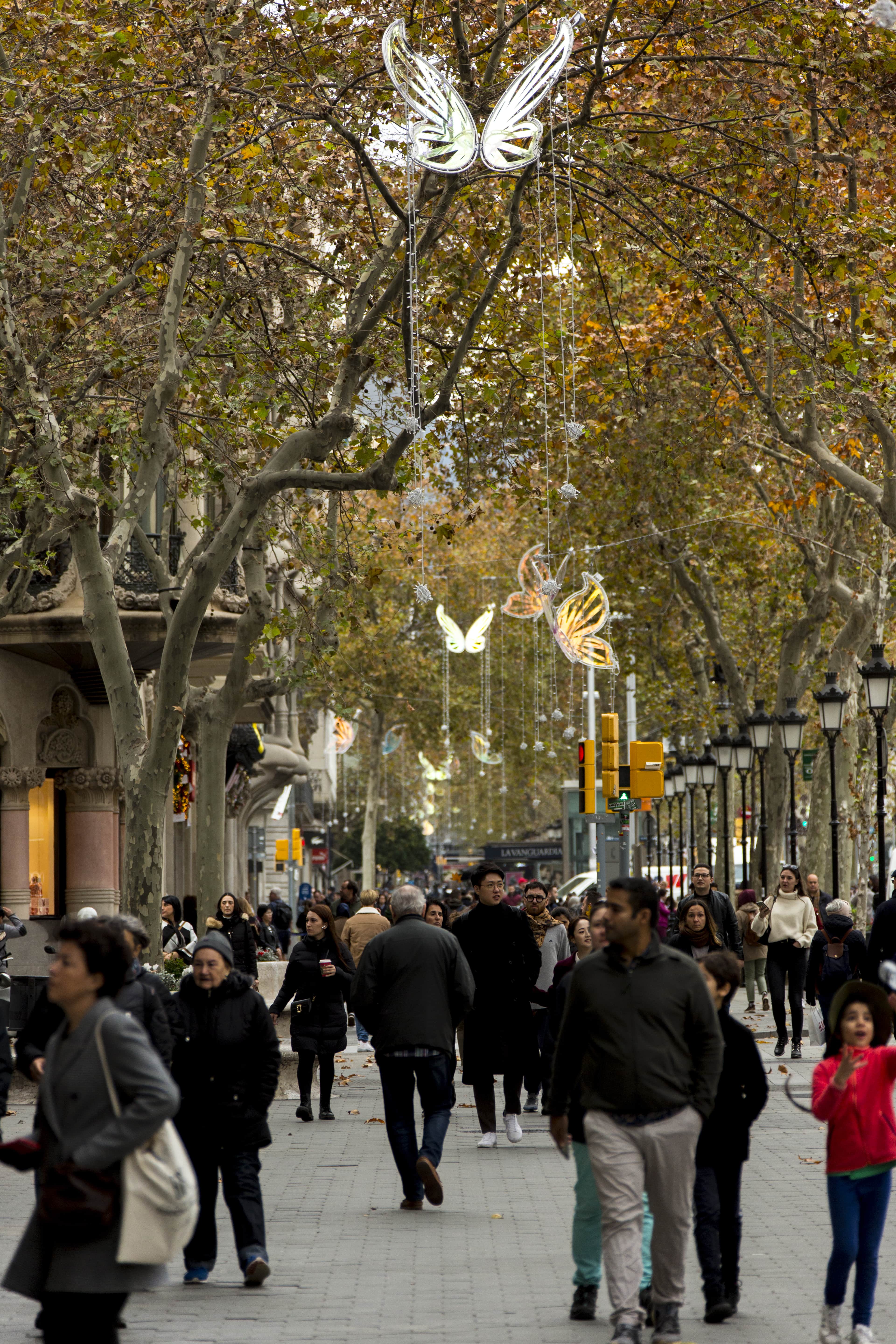Policril - Arte - Mariposas-Passeig de Gràcia-Barcelona