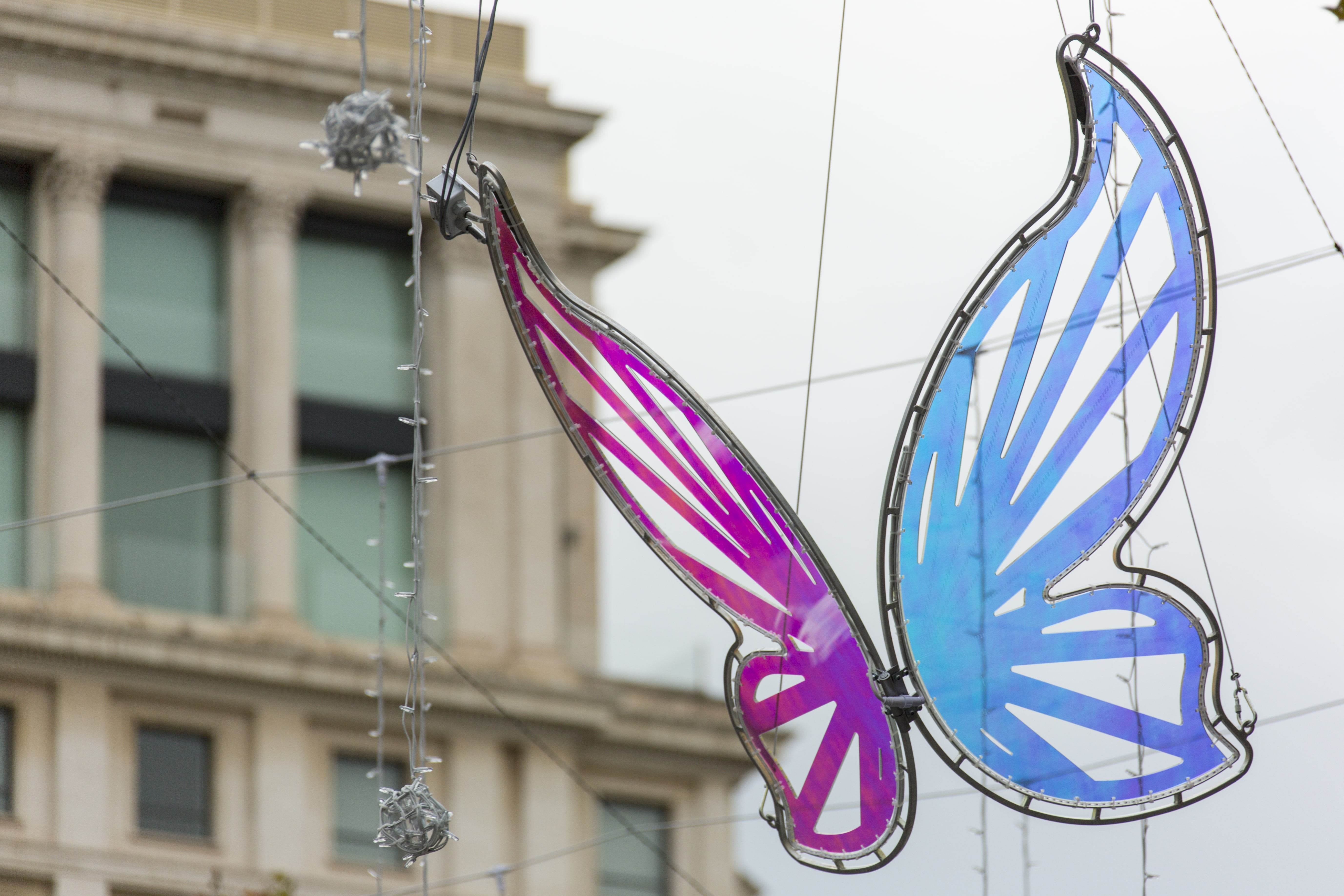 Policril - Arte - Mariposas-Passeig de Gràcia-Barcelona