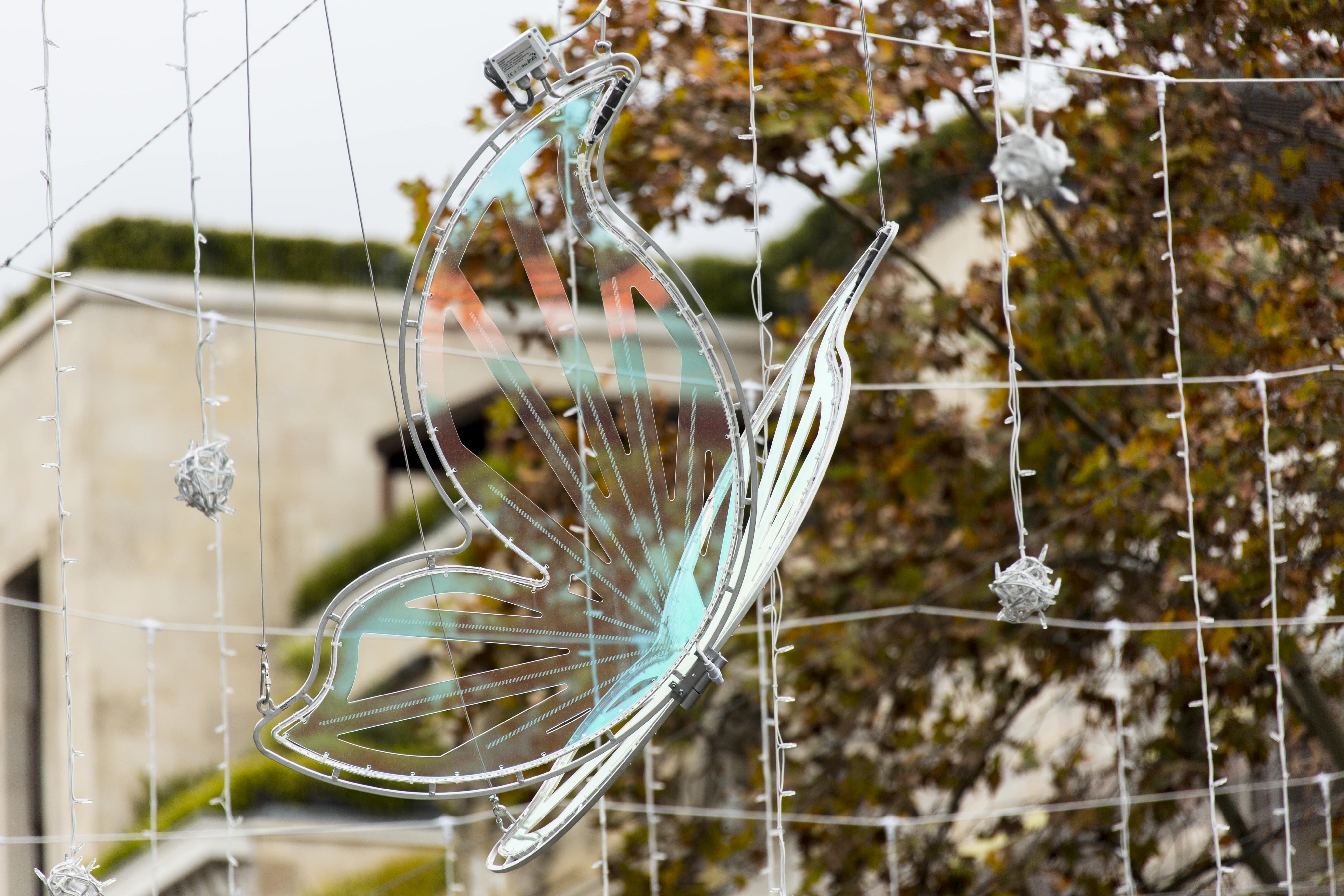 Policril - Arte - Mariposas-Passeig de Gràcia-Barcelona