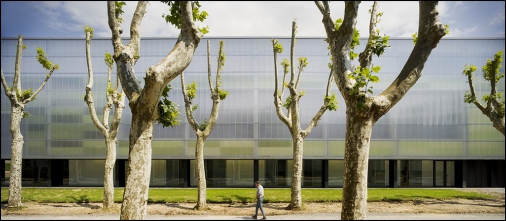Sistemas (Policarbonato Celular) - Instalaciones Deportivas - Polideportivo Olot (Girona)