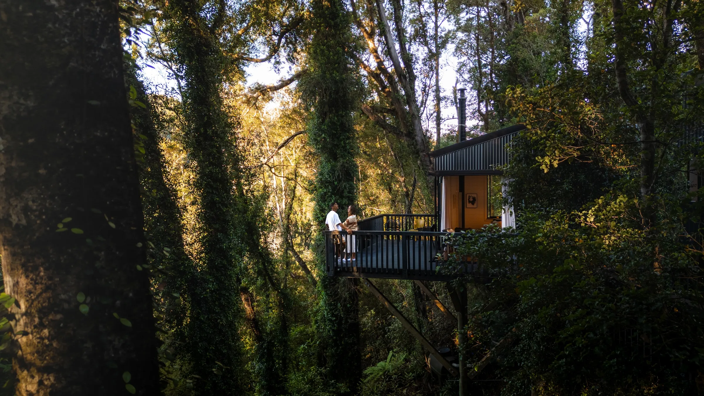 A couple standing and holding hands on the deck of a treehouse surrounded by tall trees in a dense forest.