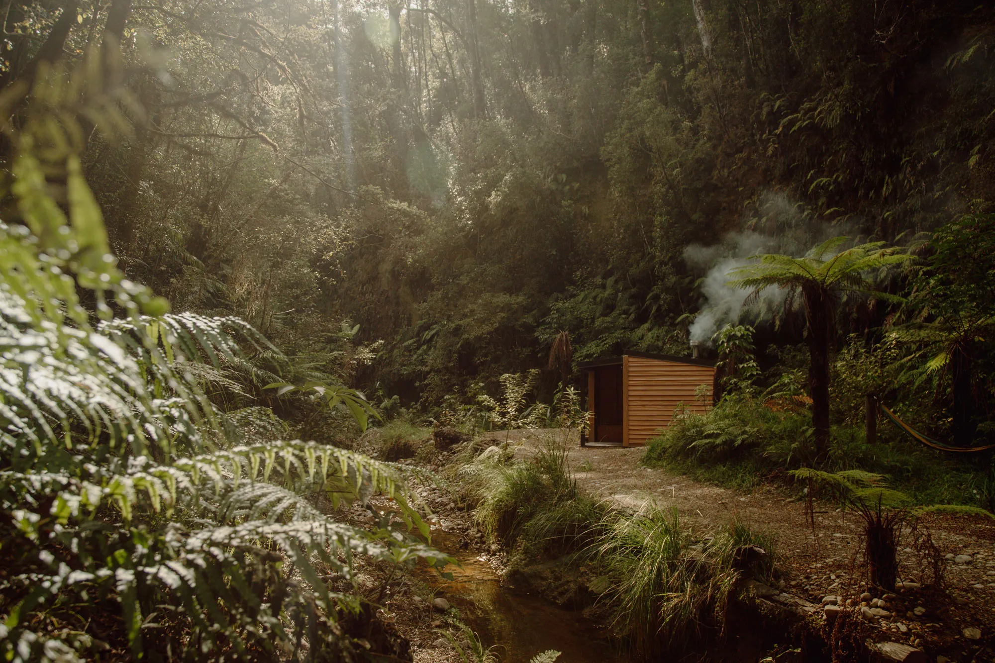 Sunlit forest scene with a small wooden cabin emitting smoke beside a narrow creek and fern-covered ground.