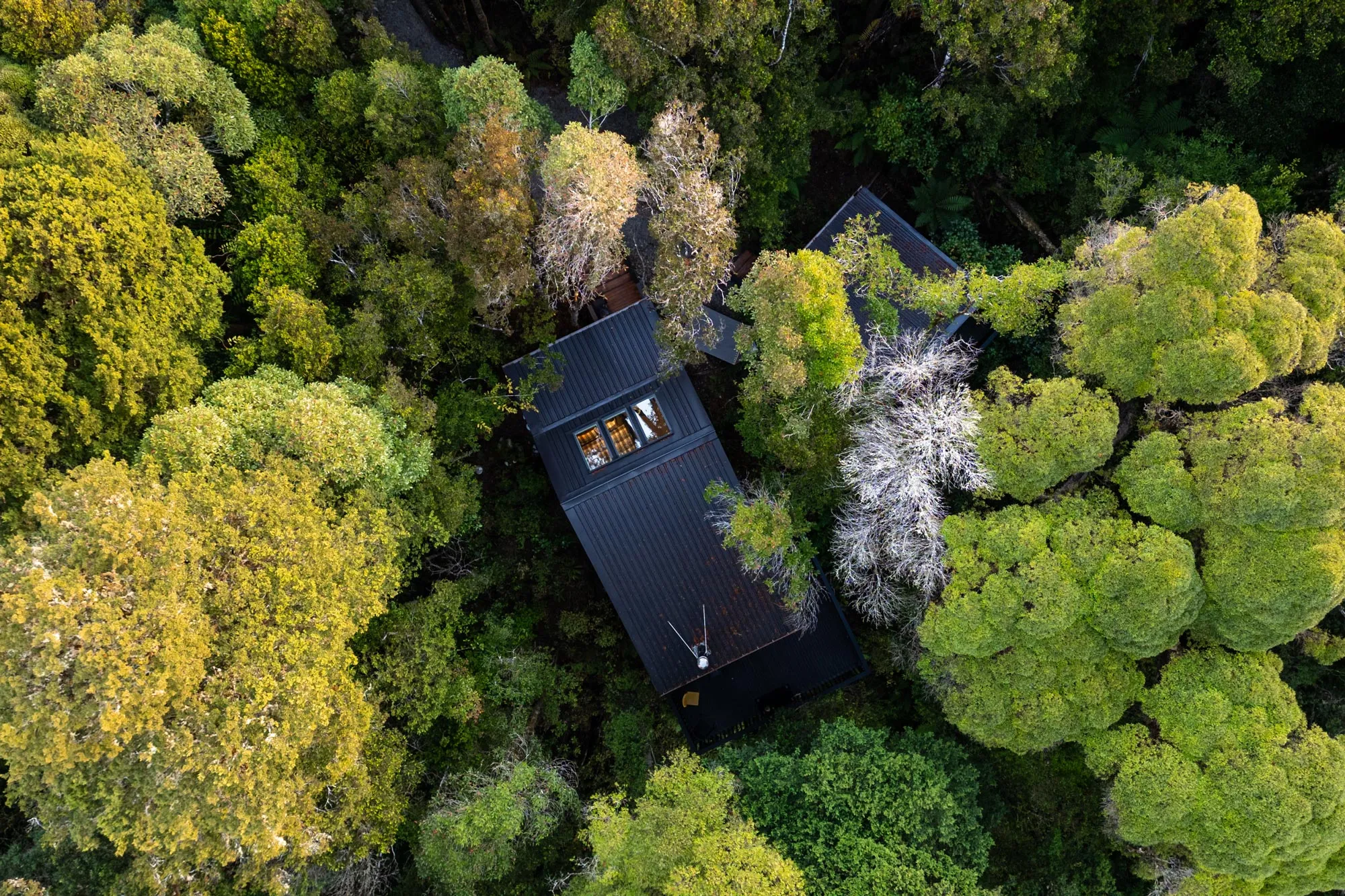 Aerial view of a dark-roofed house surrounded by dense green and yellow trees.