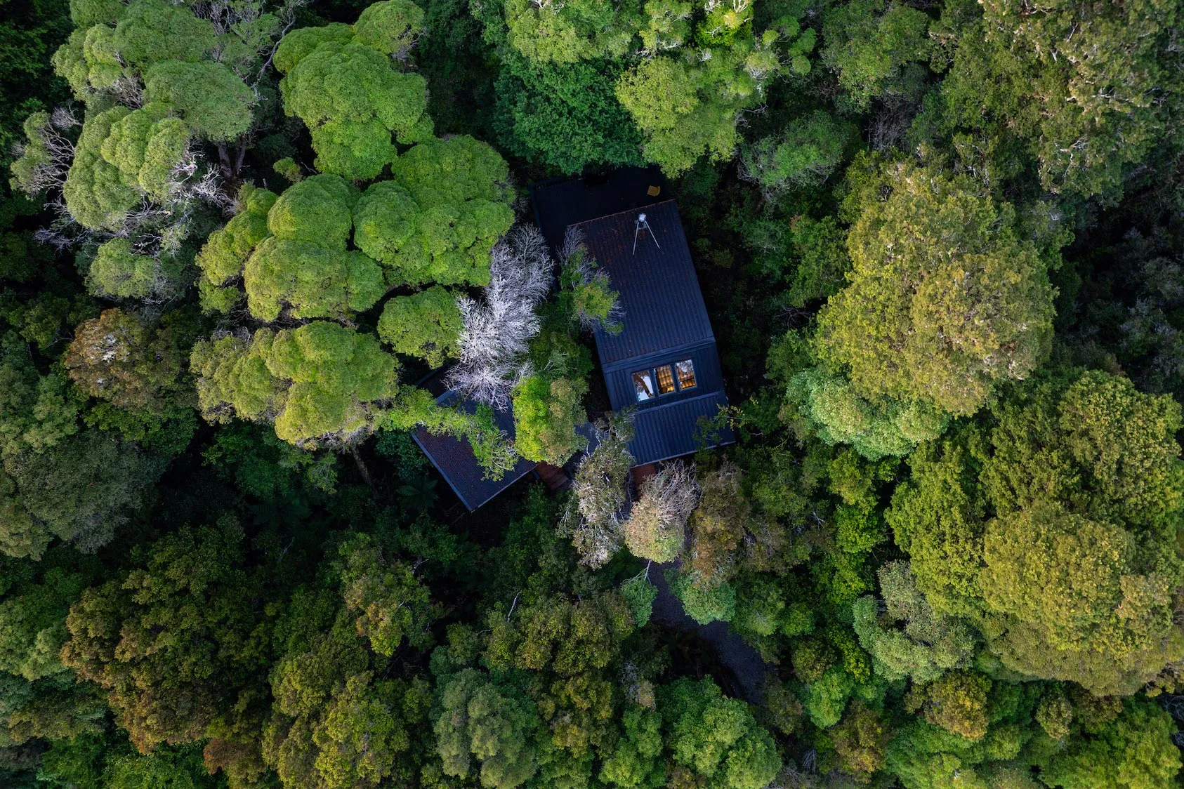 Aerial view of a dark-roofed house nestled among dense, lush green trees in a forest.