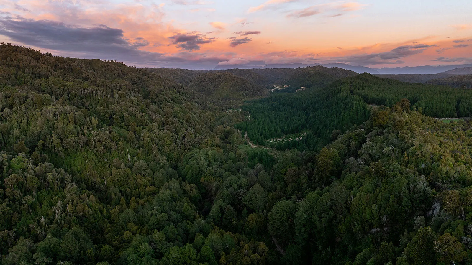 Expansive aerial view of dense green forested hills under a colorful sunset sky.