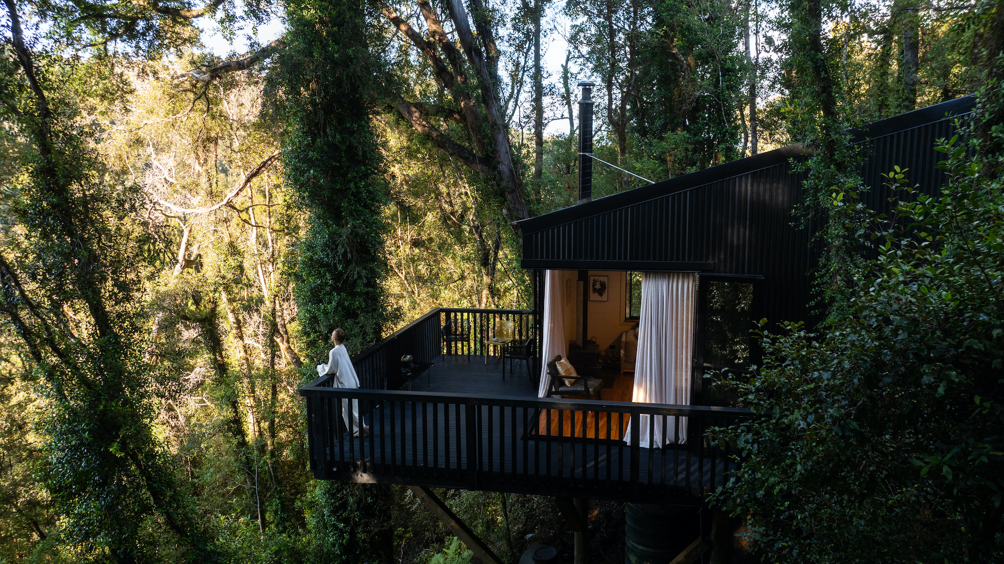 Woman enchanted by the forest