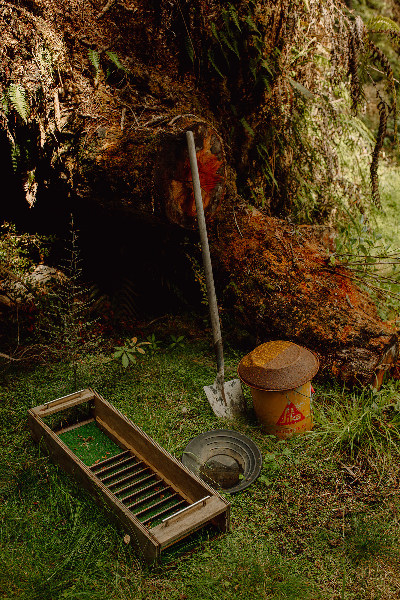 gold panning at te aka treehouse native forest retreat nelson creek