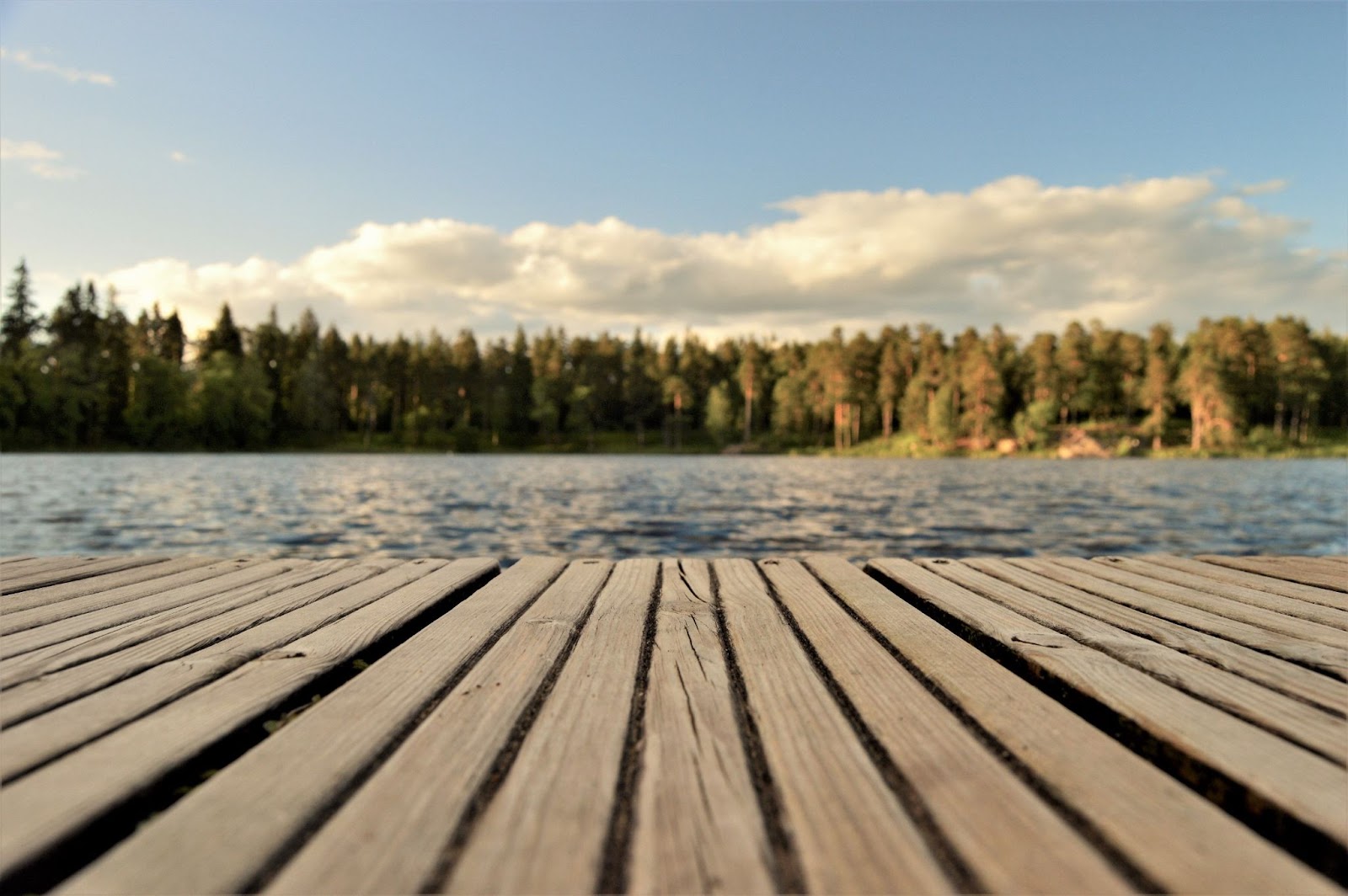 Photo of a pier looking out on water, trees, and a blue sky.