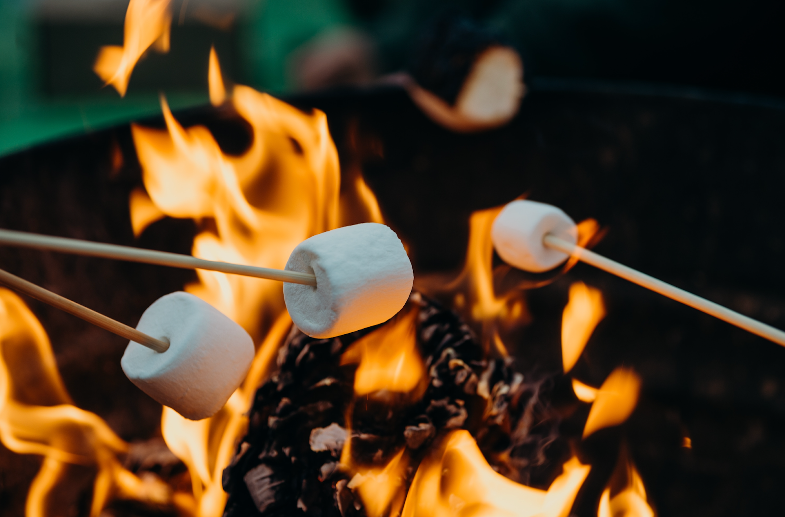 A close-up image of marshmallows roasting over a campfire.