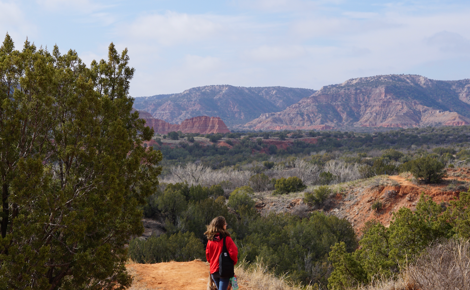 A woman in red jacket and travel bag stares out across lush landscapes and mountains of Texas.