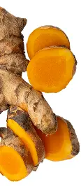 Turmeric root with bright orange interior, showing whole and sliced pieces.