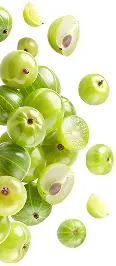 Fresh green amla berries, whole and sliced, arranged on a white background.
