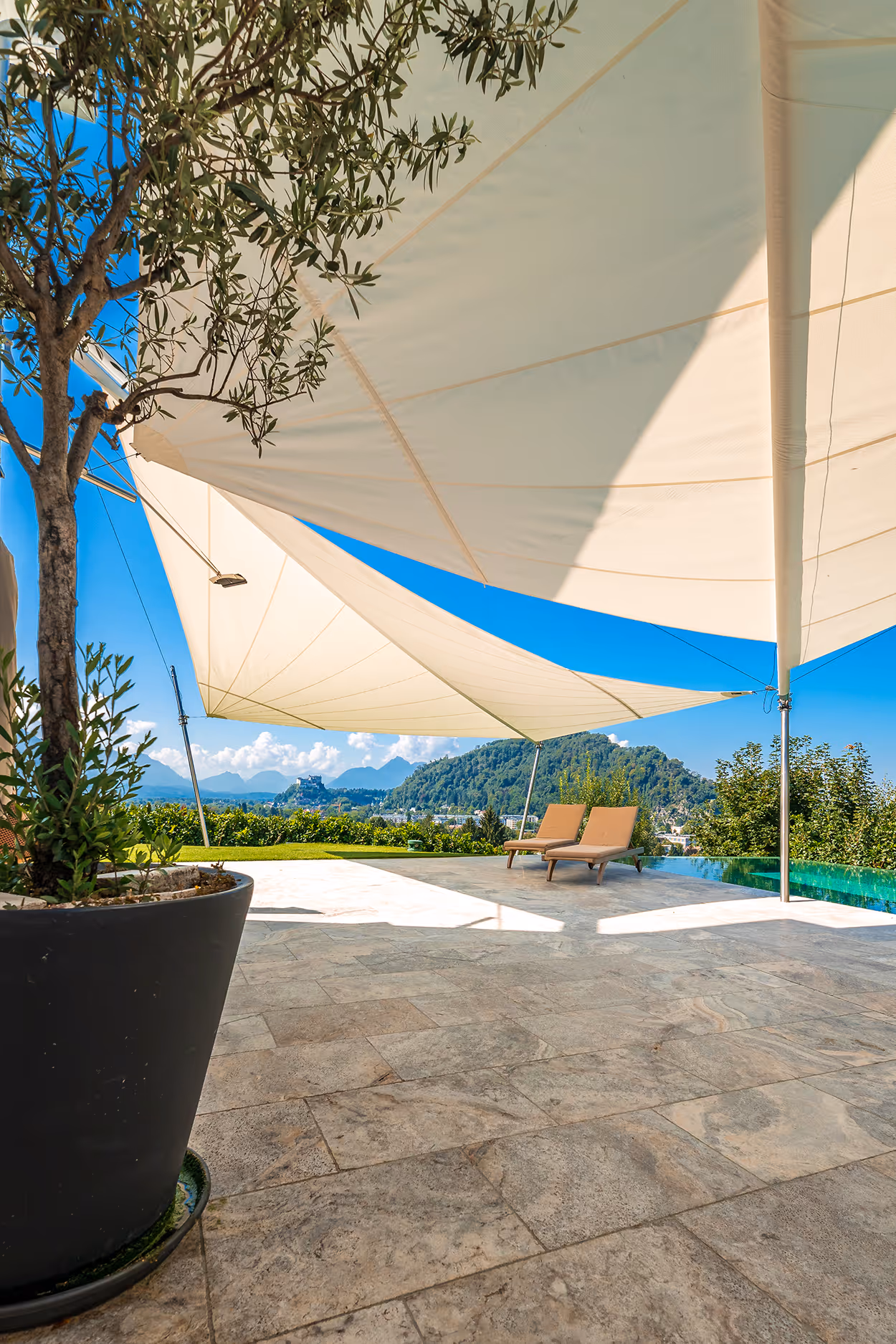 Ein Olivenbaum im Vordergrund, im Hingertrund sieht man einen Pool und zwei SunSquare Sonnensegel.