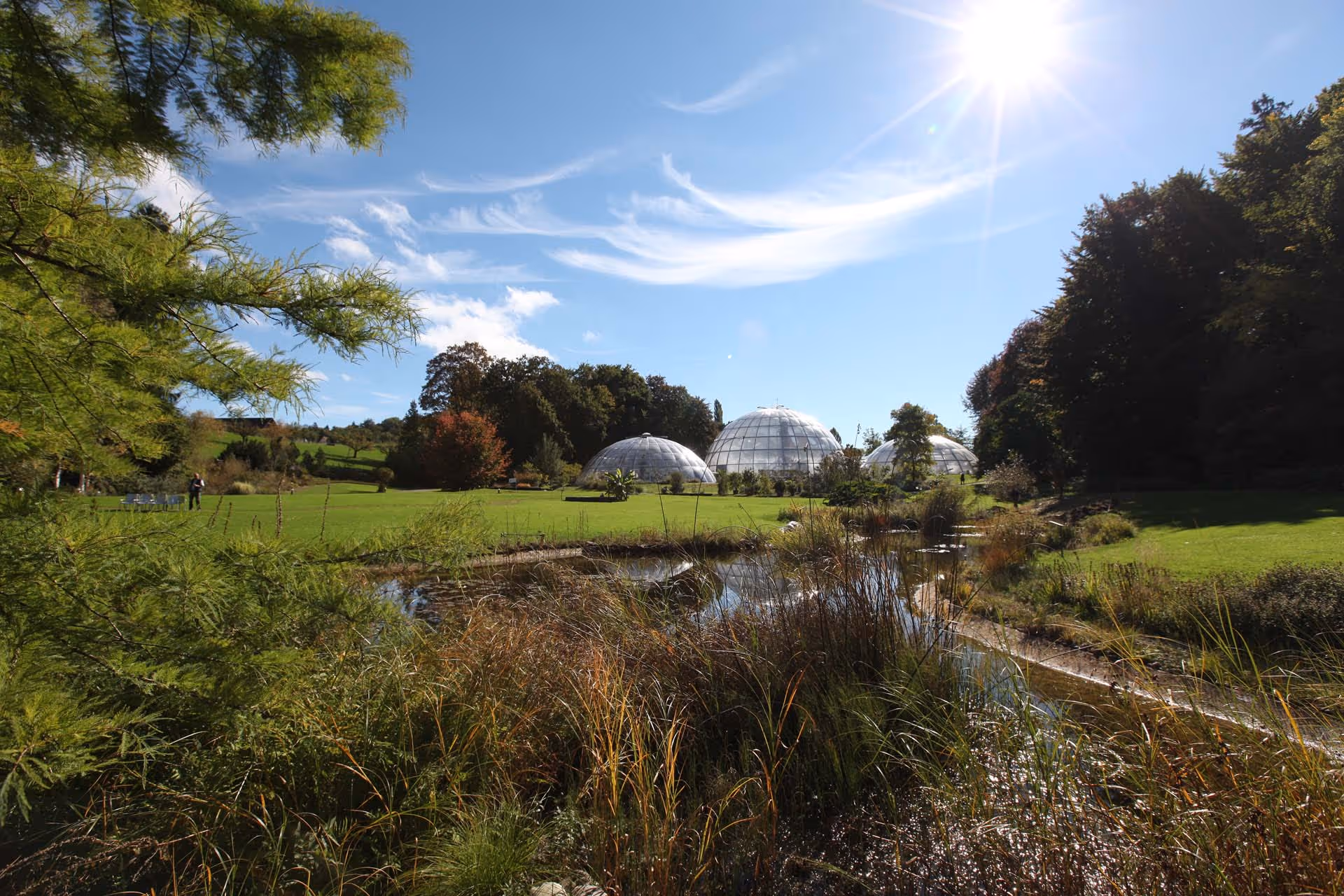 Einseitige SunSquare Rechtecksegel im Tropenhaus im Botanischen Garten Zürich.