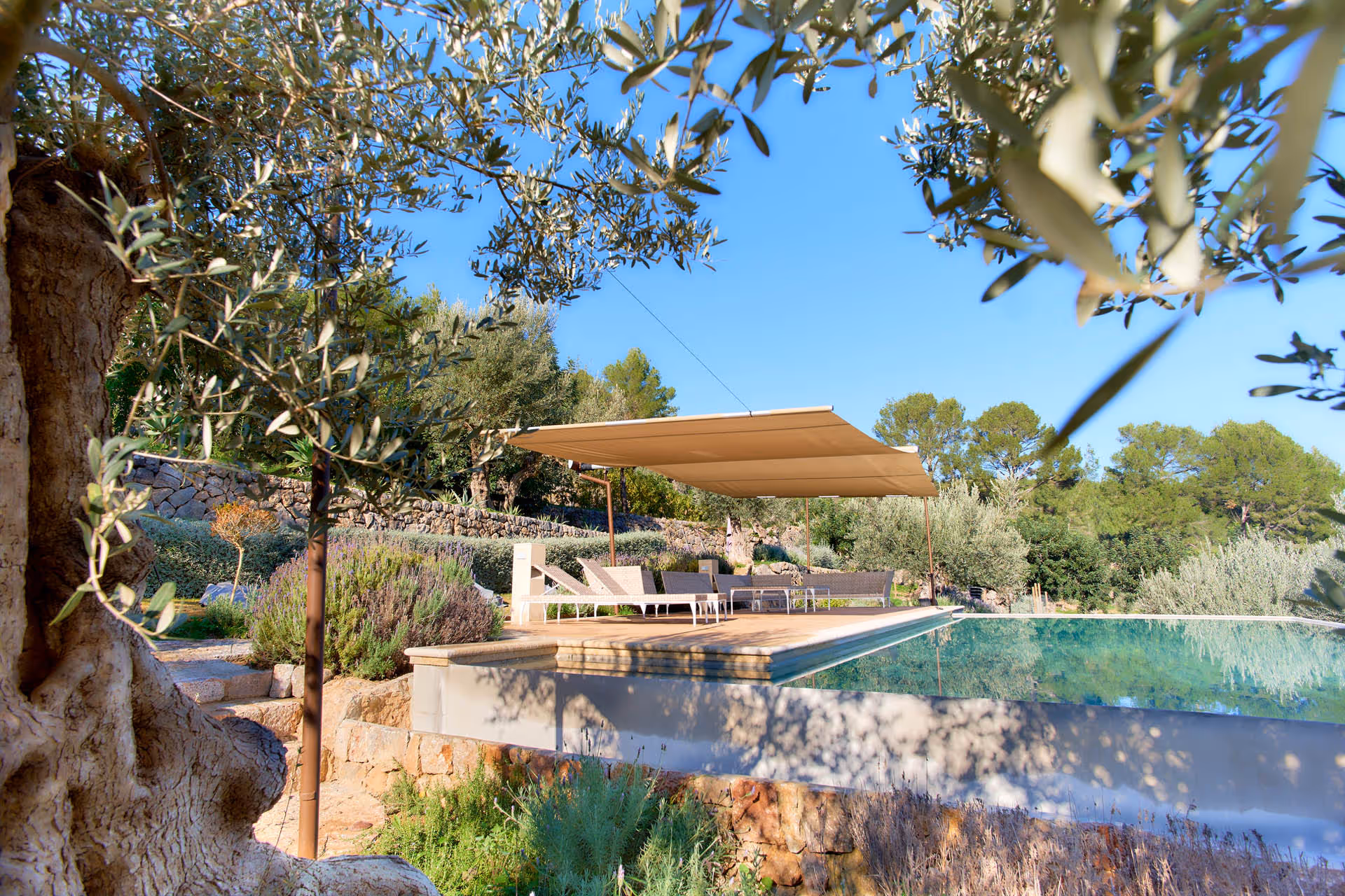 Ein mediterraner Garten, ein Pool und ein SunSquare Sonnensegel - was will man mehr?