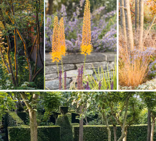 Callwey Award: Gardens of the Year 