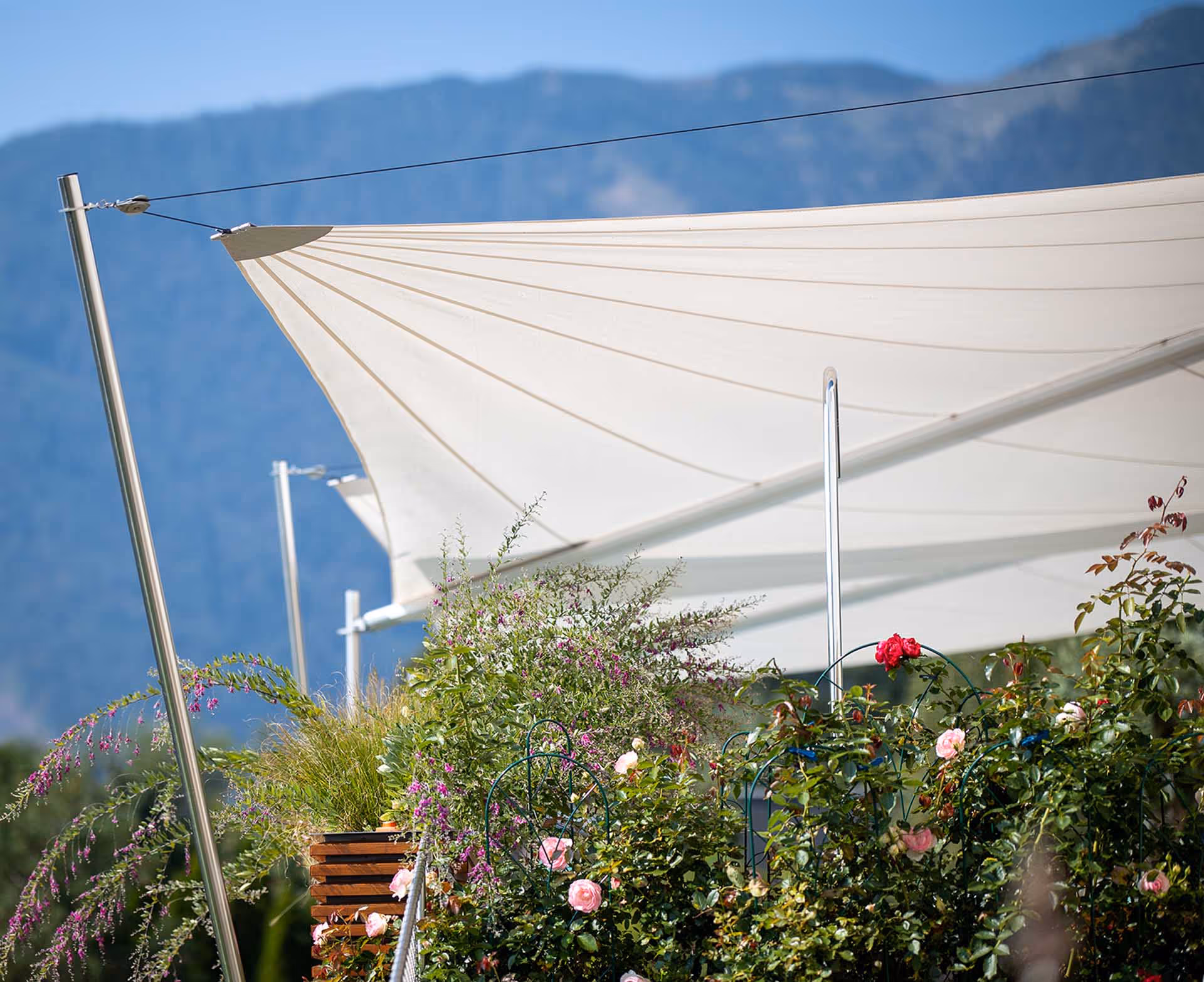 Strahlensegel Detailaufnahme.