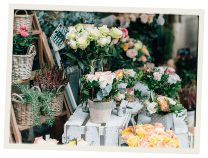 A vibrant and colorful flower stall showcasing a variety of fresh blooms and plants in rustic pots and baskets.