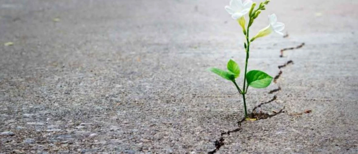 How Leaders Can Cultivate Vision and Hope During Uncertain Times