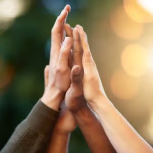 Navigating Conflict Resolution: Strategies for Maintaining Harmony and Productivity