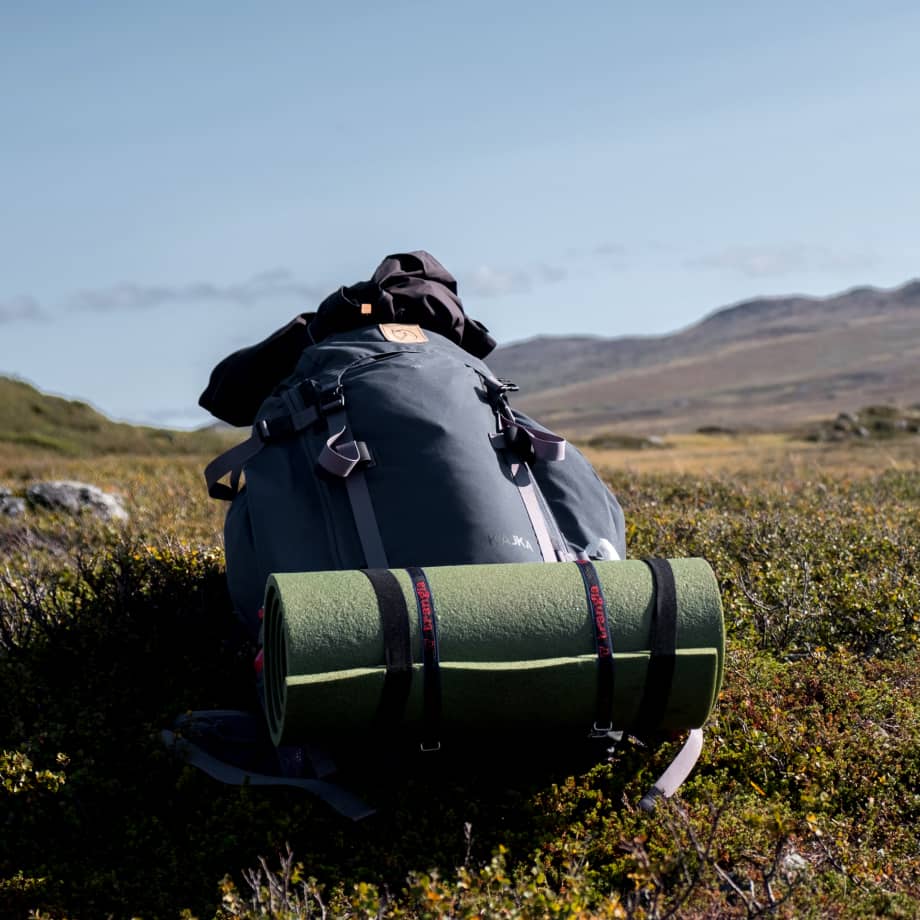 Pexels Image 03 - Journal X Webflow Template