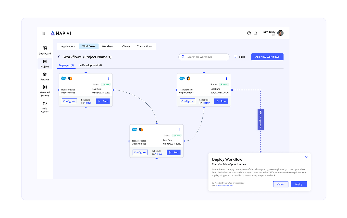 NAPSYS.AI API management interface showing no-code workflow deployment and real-time integration across business applications