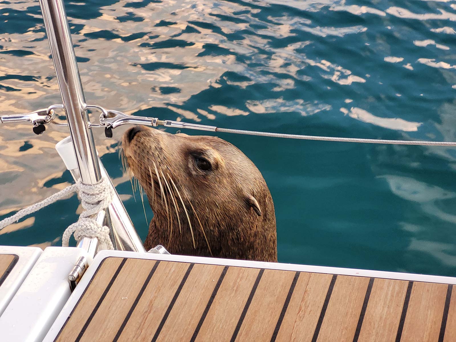 Rallye World Odyssey 