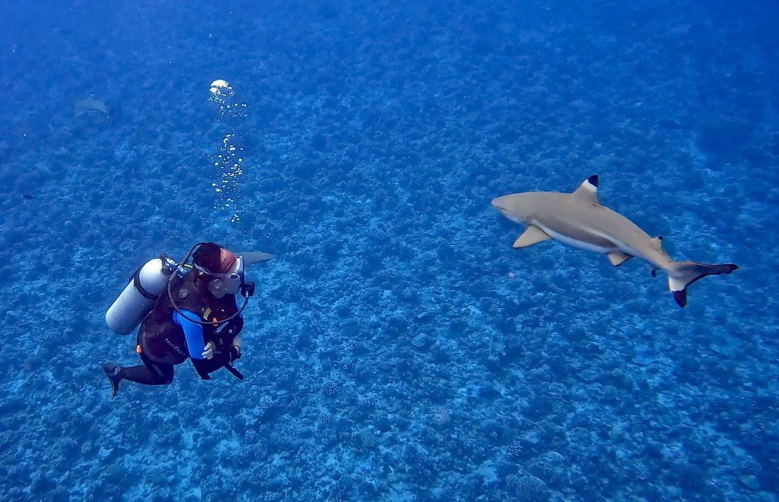 Rallye World Odyssey