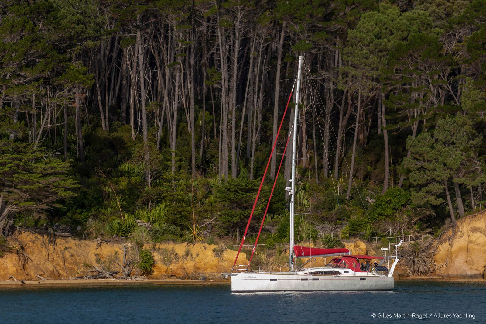 Kawau Island New Zealand