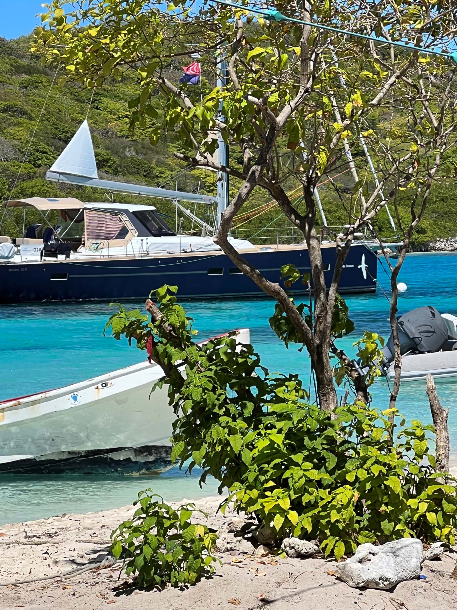 Tobago Cays Carribbean