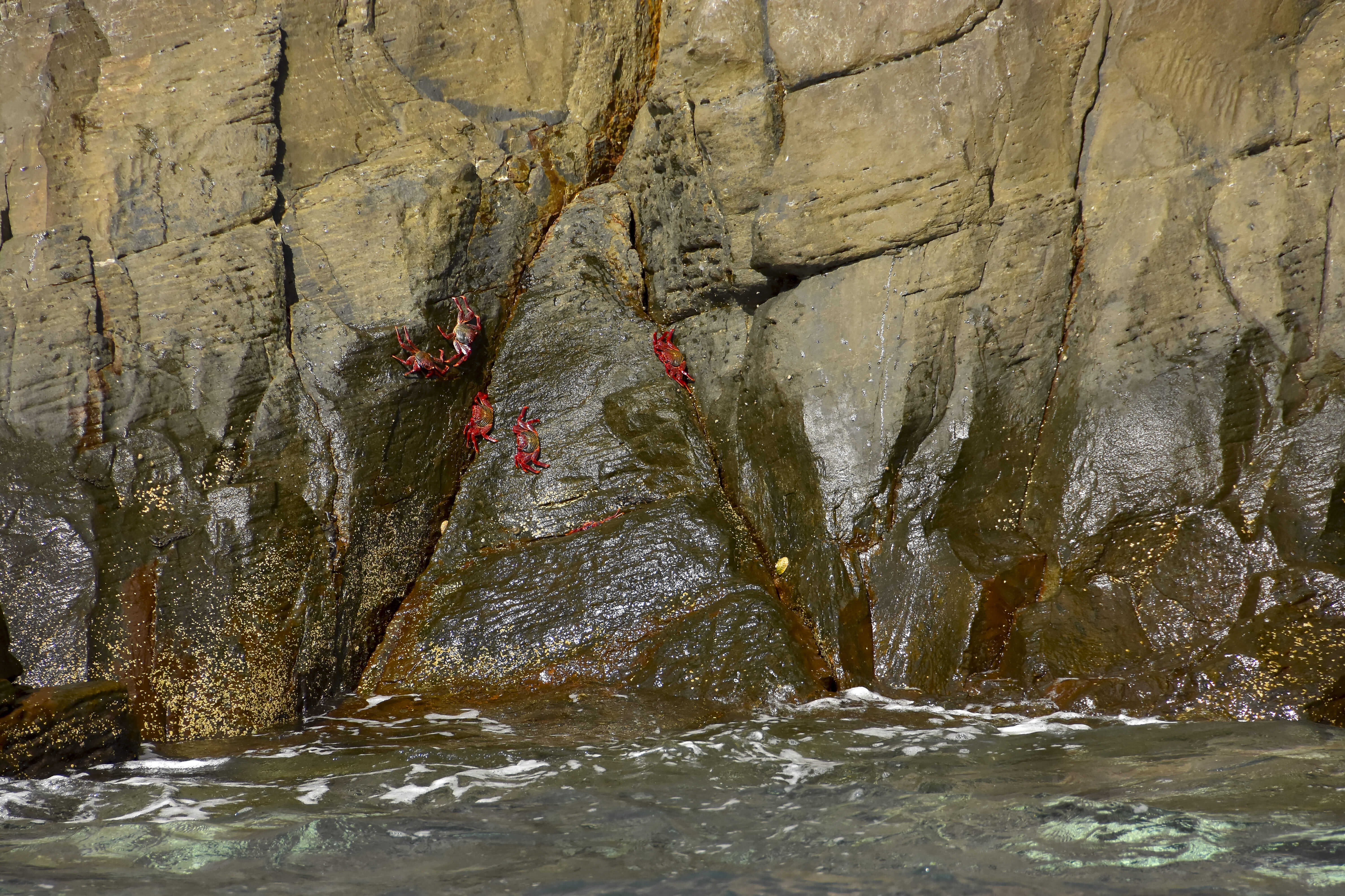 Rally Nordic Odyssey