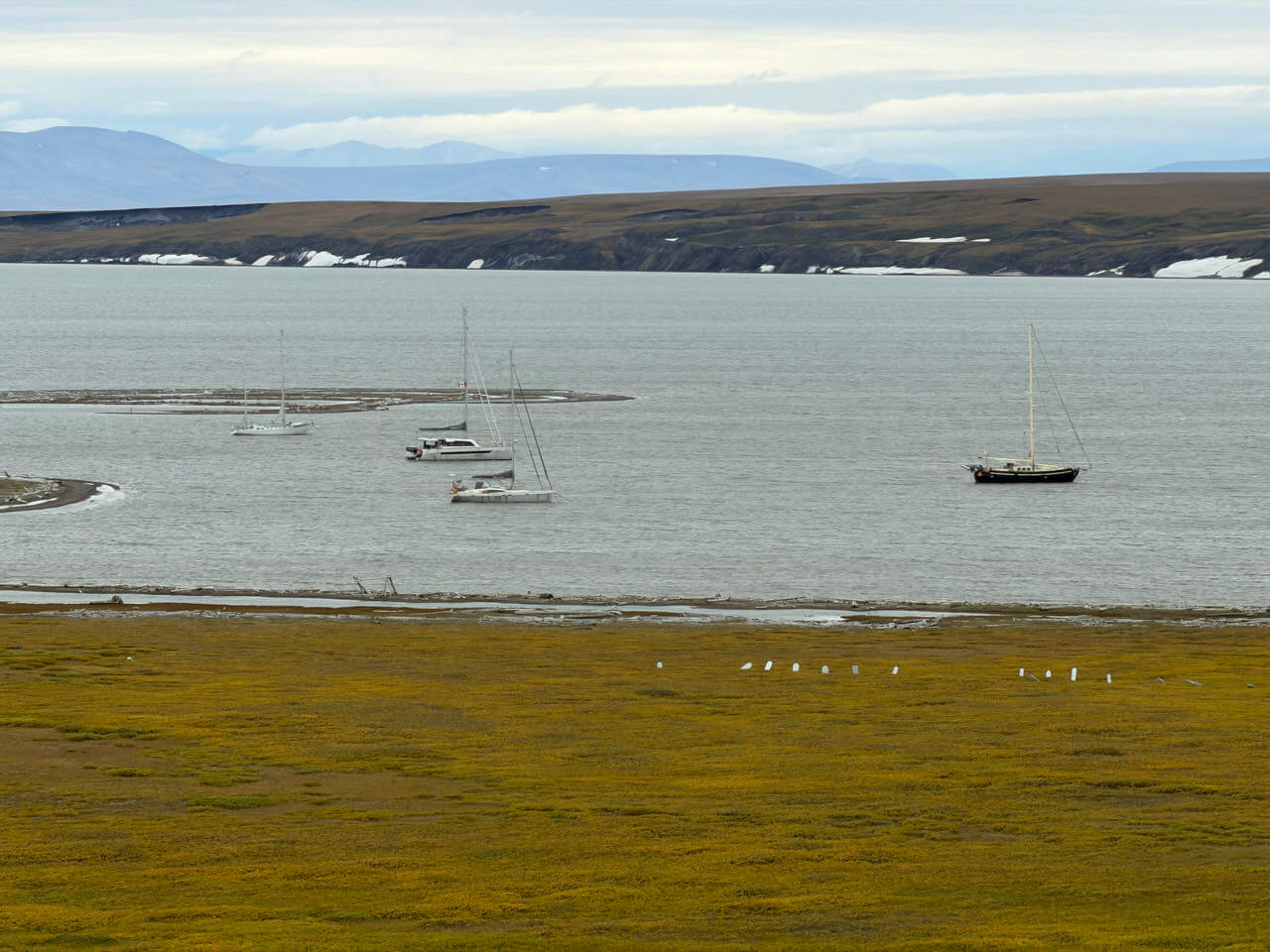 Vanuily, Hafiz and two other sailboats attempting the Northwest Passage anchored in Pauline Cove, Canadian Arctic