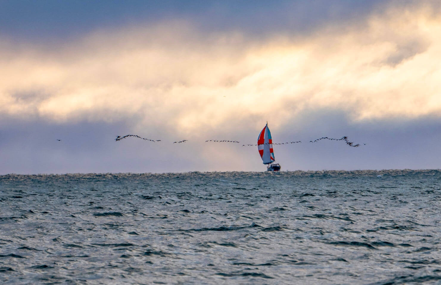 Vanuily sailing under a colorful spinnaker as seabirds fly overhead during its Northwest Passage voyage.