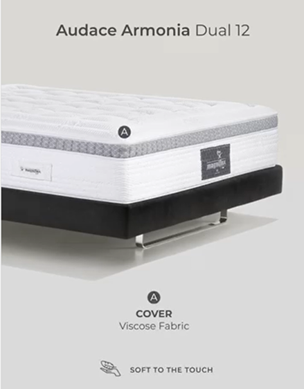 Audace Armonia Dual 12