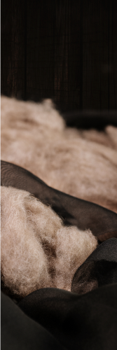 Camel Hair