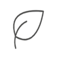 Leaf icon