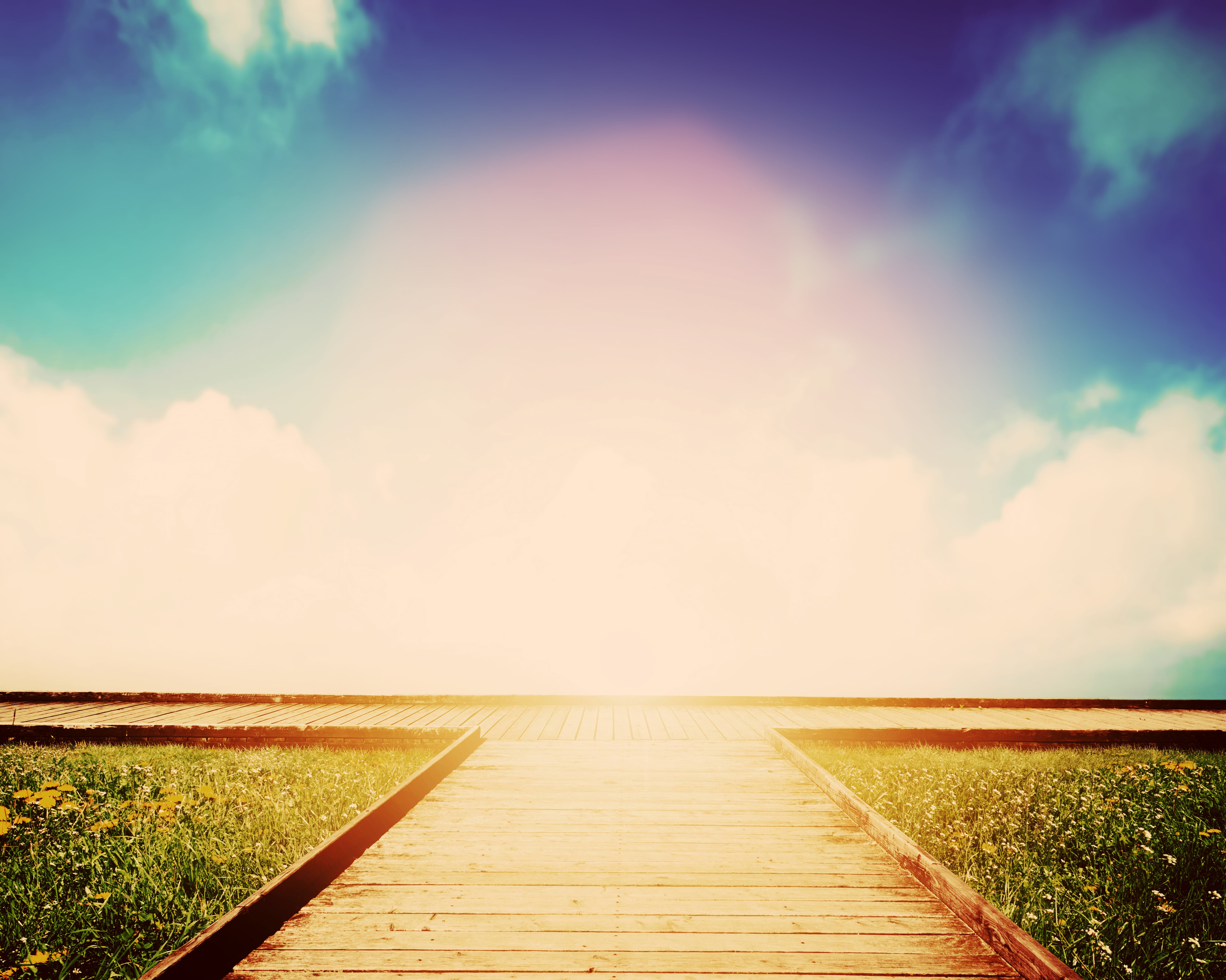 photo of path