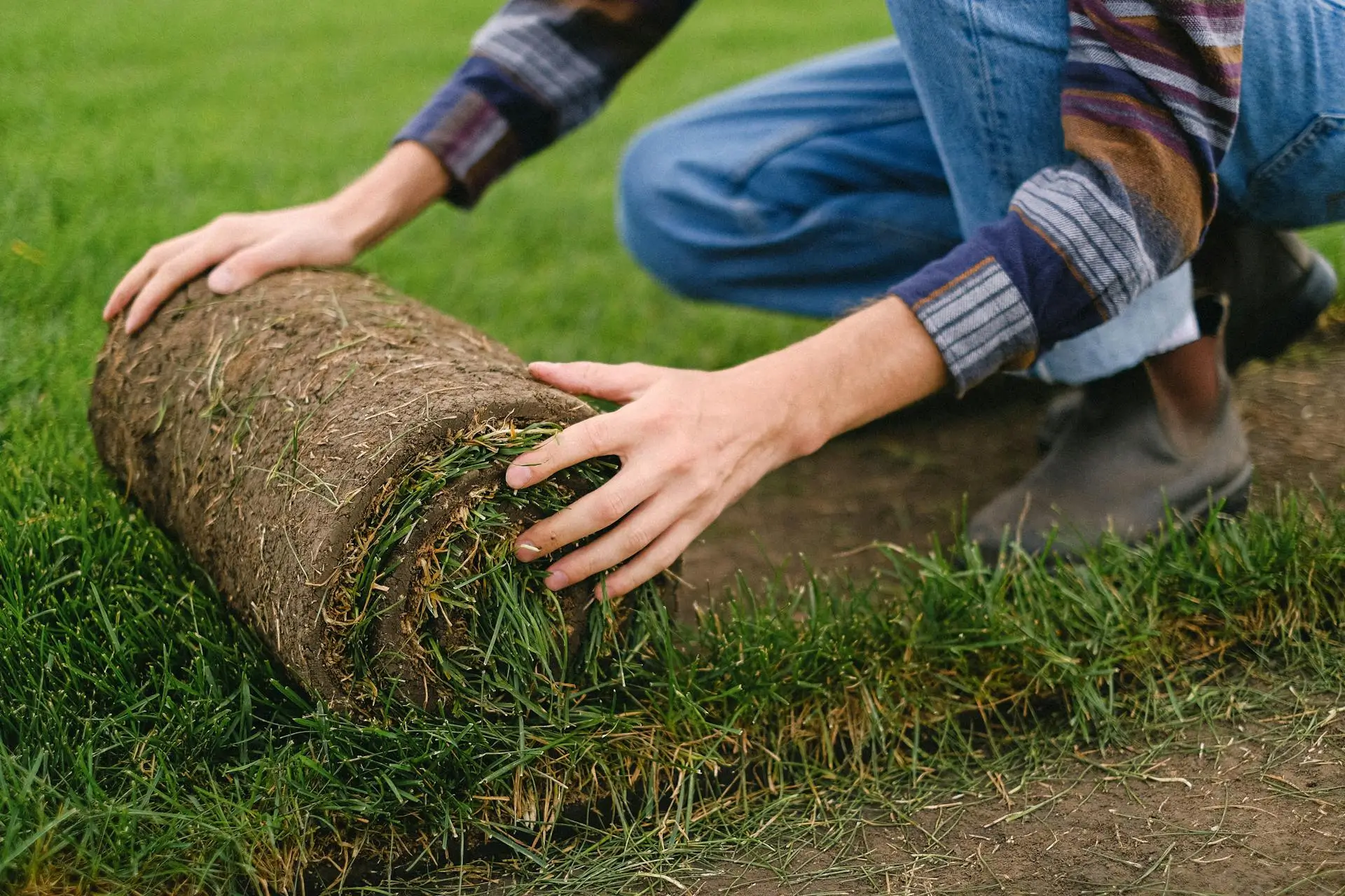 Grass