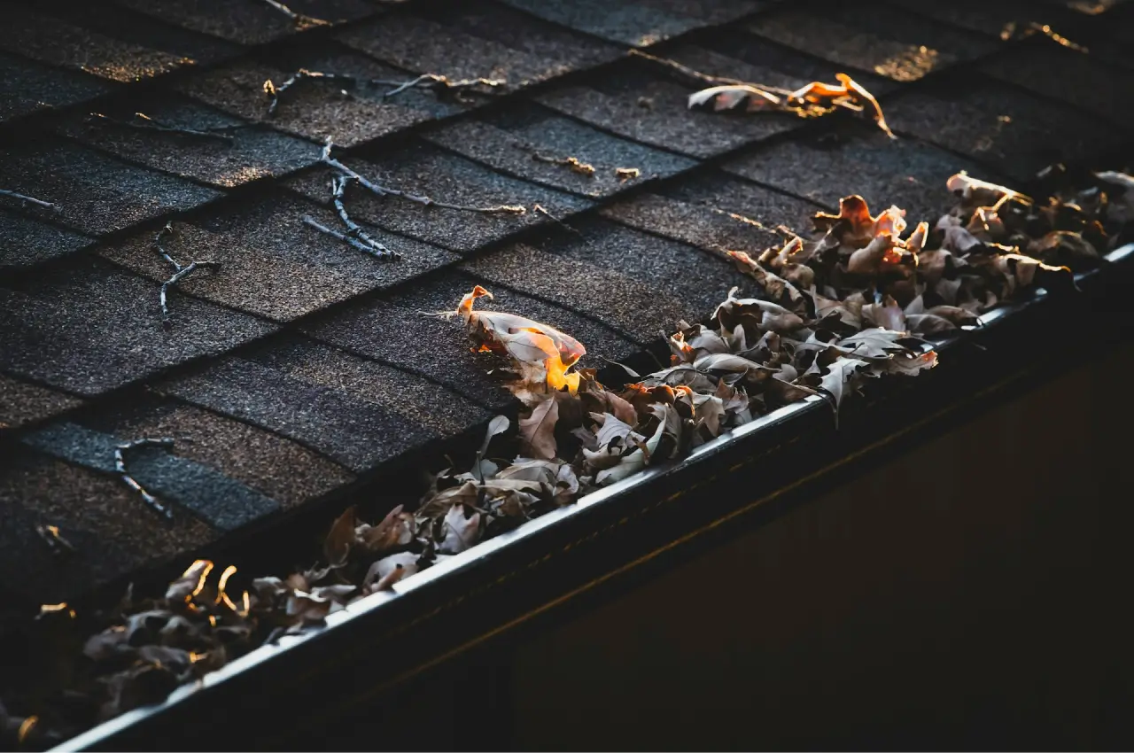 roof