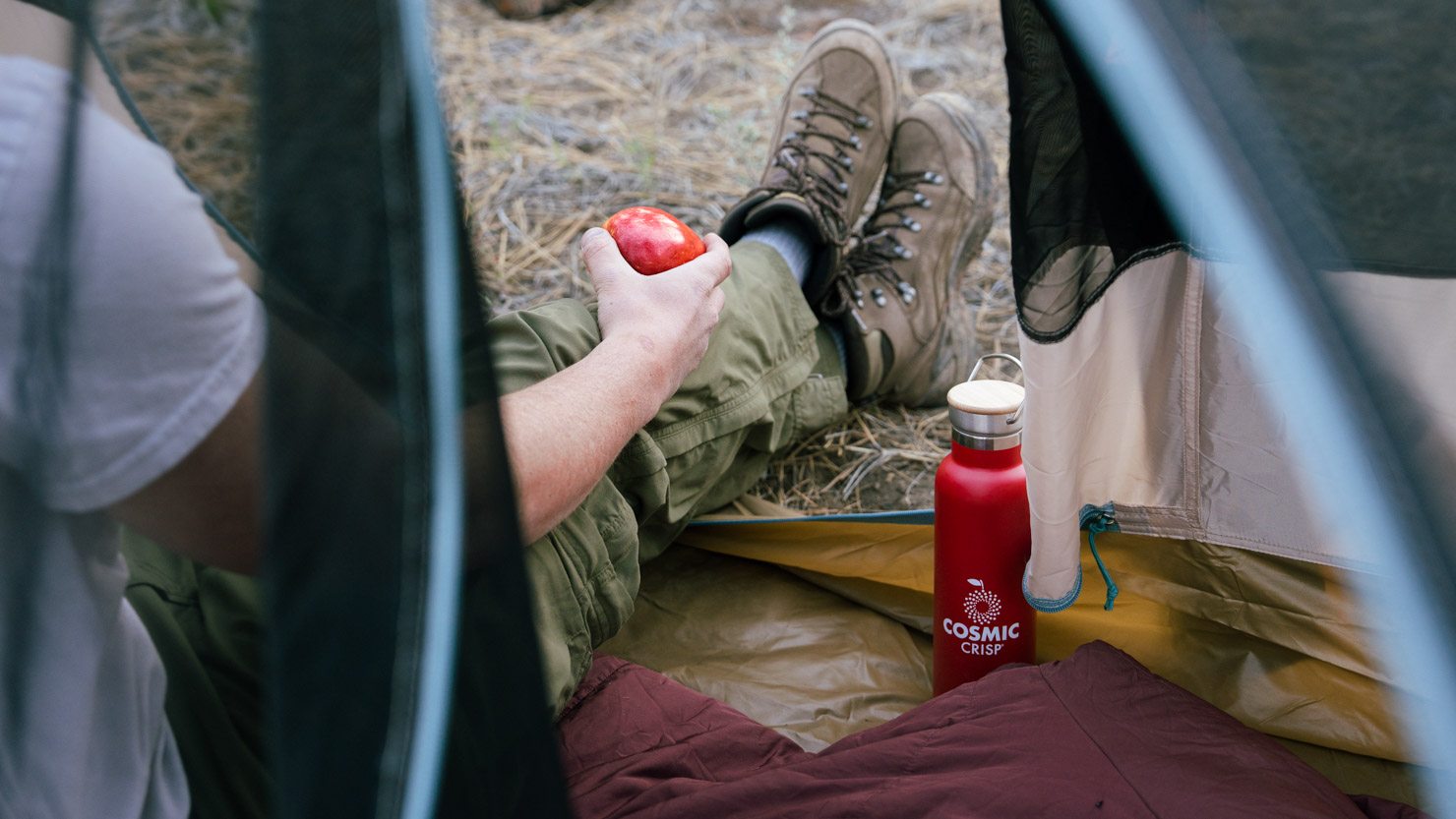 2026 Content Marketing: What Will Actually Matter (And What Won’t)