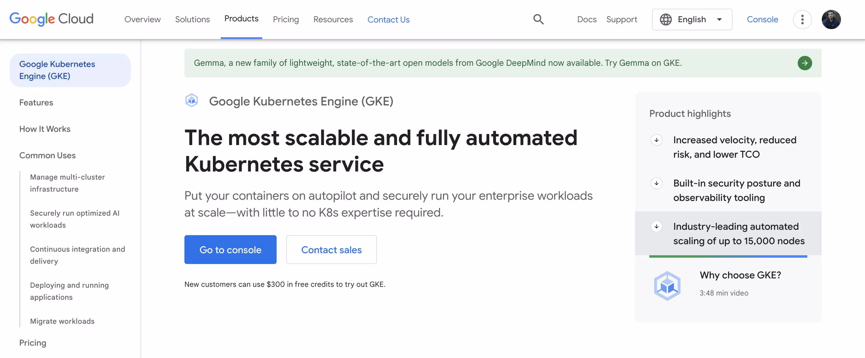 Google Kubernetes Engine (GKE)